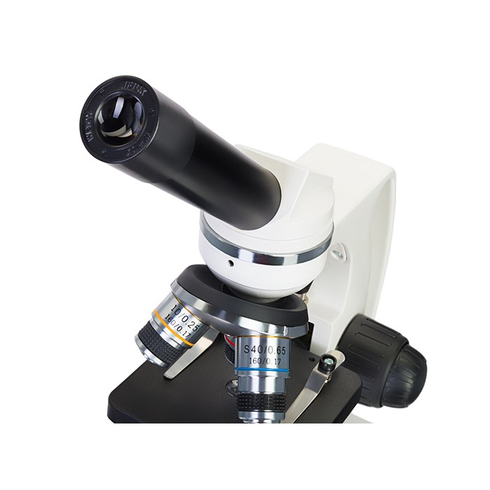 Микроскоп Levenhuk Discovery Femto Polar с книгой