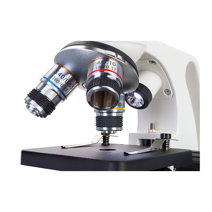 Микроскоп Levenhuk Discovery Femto Polar с книгой