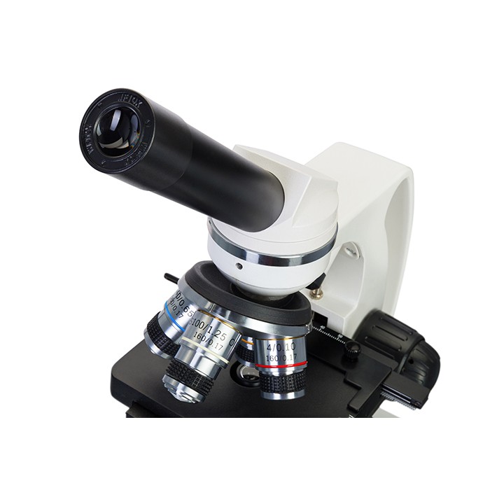 Микроскоп Levenhuk Discovery Atto Polar с книгой
