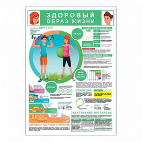 ЗОЖ гигиена спорт питание плакат глянцевый А1+/А2+ (матовый холст от 200 г/кв.м, размер A1+)