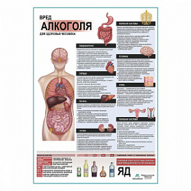 Вред алкоголя для здоровья плакат глянцевый А1+/А2+ (глянцевый холст от 200 г/кв.м, размер A1+)