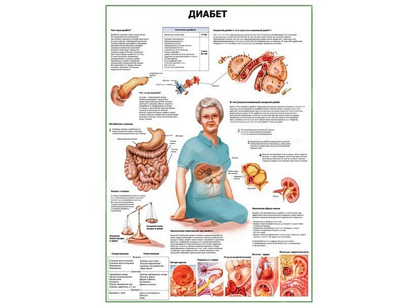 OLD Диабет плакат глянцевый А1/А2 (глянцевый A2)