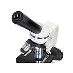 Микроскоп Levenhuk Discovery Femto Polar с книгой