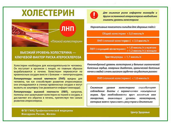 OLD Холестерин плакат глянцевый А1/А2 (глянцевый A2)